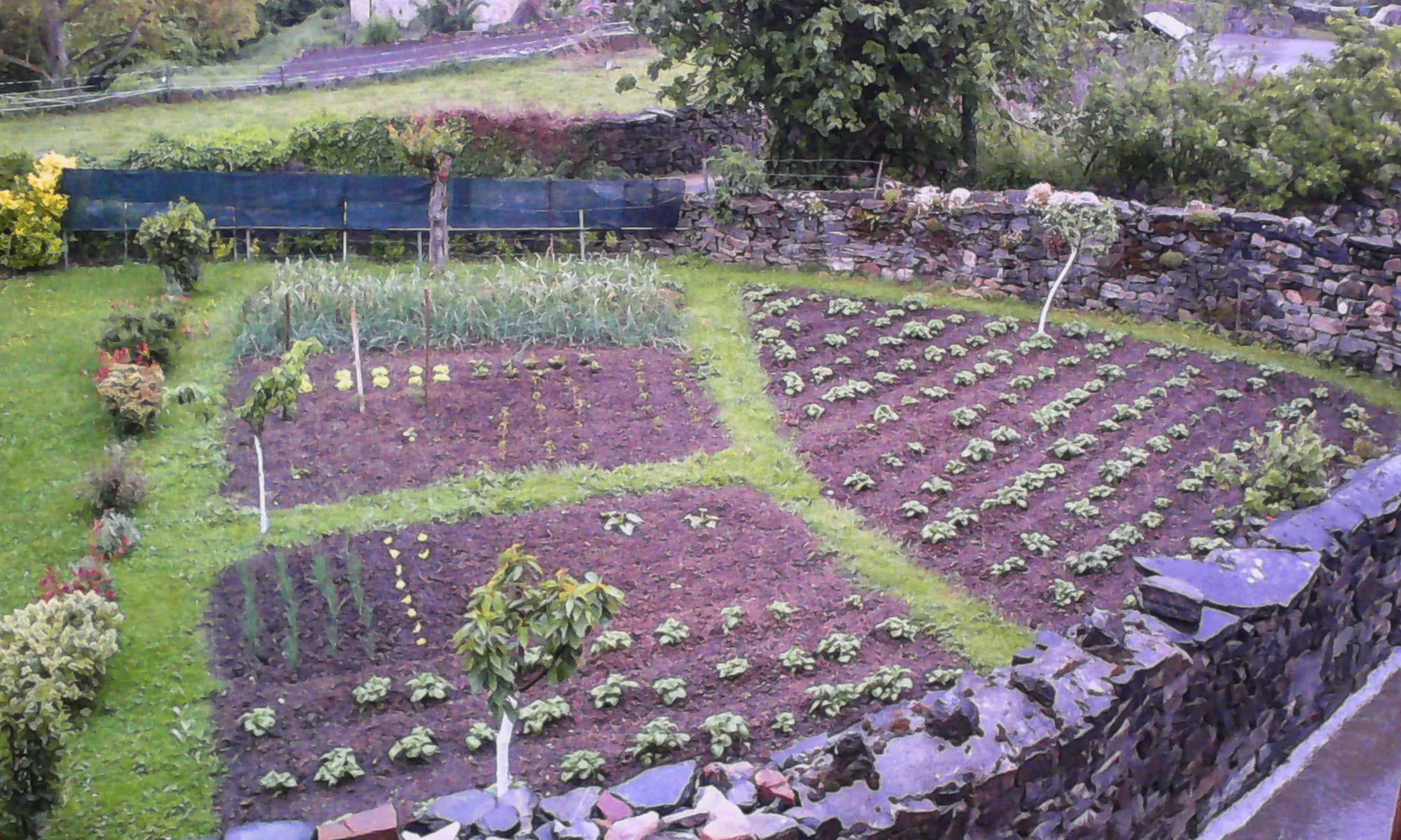 Terracing and ground levelling in garden